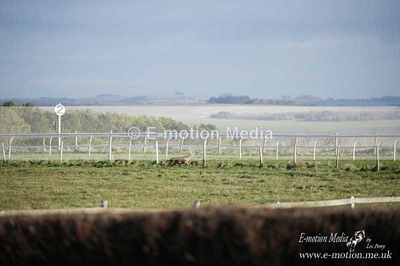 PtP 121220 074 - Avon Vale Races Larkhill 12/12/20