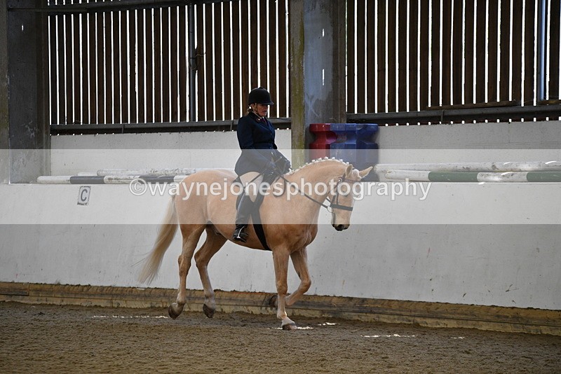 WJ5_5976 - Class 9 Ridden Veteran