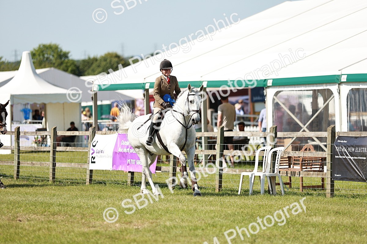 SBM_18490 - Class 112-113 - BSPS LIHS Working Sports Pony