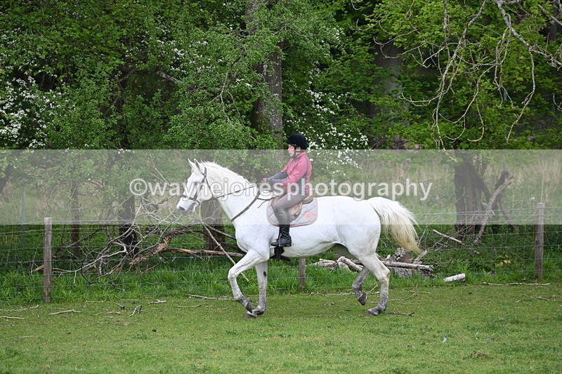 WJ6_3155 - A camera
