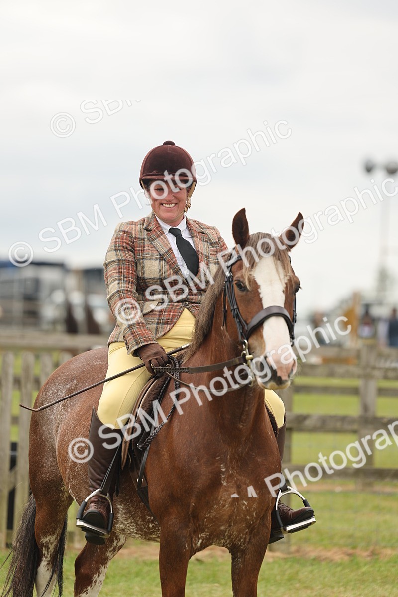SBM_07235 - Class 76-77 - Ridden M&M Welsh Ponies