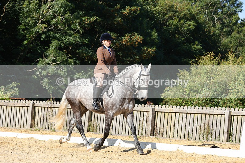 1X9A7718 - Class 9: Open Ridden Hunter