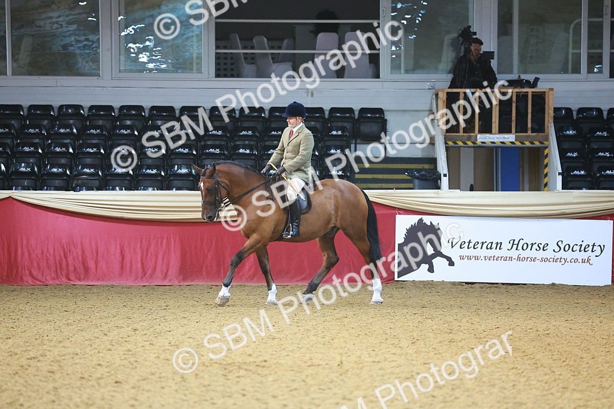 SBM_07665 - Class 101 - HOYS Veteran Qualifier - Ridden Diamond