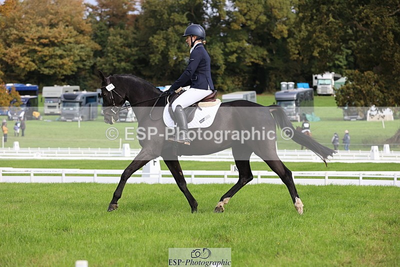 251023A-105551-03254 - D-311-Clare.Davenport