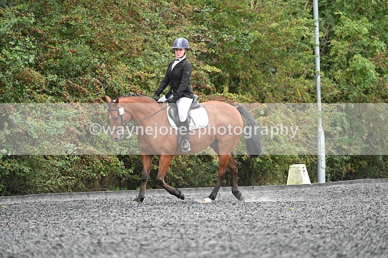 WJ7_3585 - Time 11:04 to 11:38