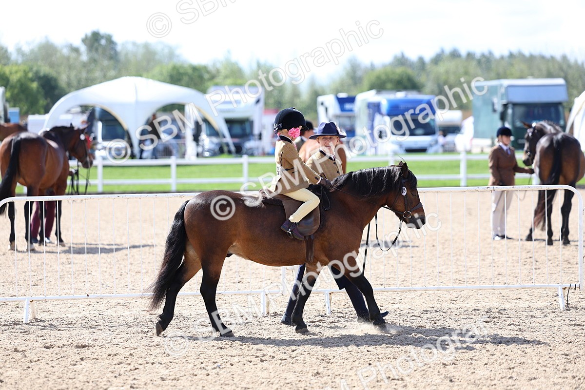 SBM_13014 - Class 309 - Lead Rein Pony