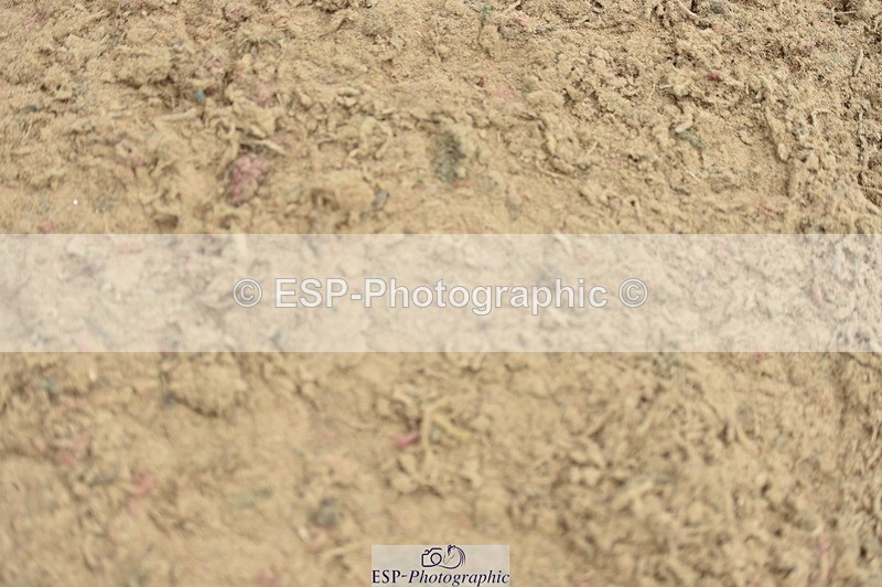 230723A-131540-12024 - Cls 24, 1 Star Gold 1.30m