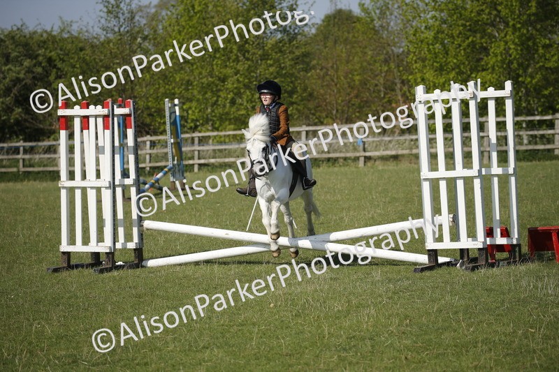 20250427-0423 - Class 12 - Rookie Jumping 40cm