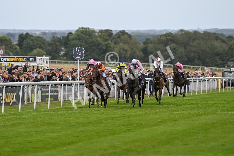 250824-Race 5-Lincoln Rockstar-3624 - Race 5