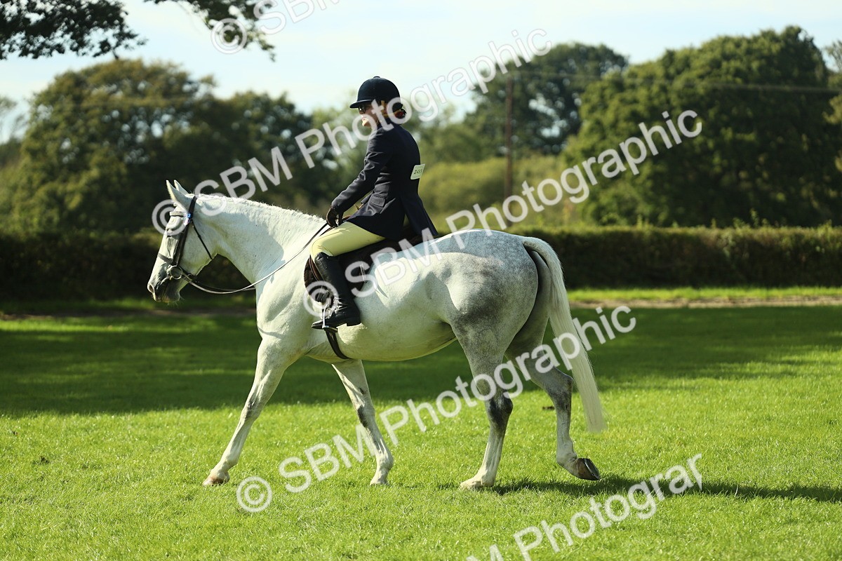 SBM_49816 - S32 - Novice & Newcomers Working Hunter