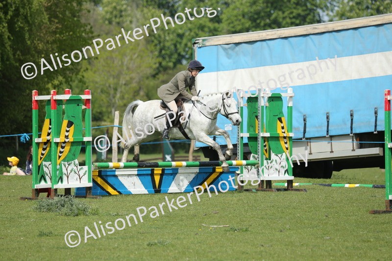20260426-1789 - Class 14 - Novice 60cm