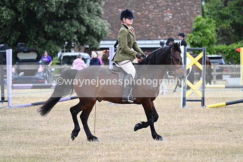 WJ7_0606 - Class 6 Ridden Mountain and Moorland