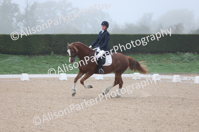 20251012-0025 - Class 1 - Prelim 5