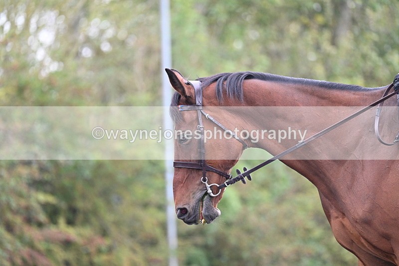 WJ7_2764 - Time 09:00 to 09:35