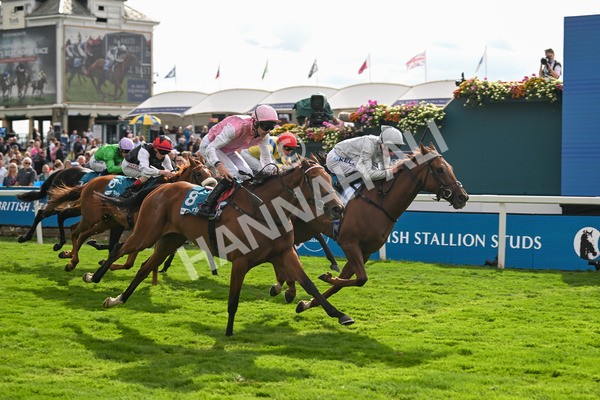 210825-Race 5-Charlottes Web-5053 - Race 5 4.10pm British EBF & Sir Henry Cecil Galtres Stakes