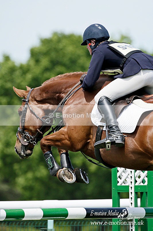 SJ 220517 -1770e - Equestrian