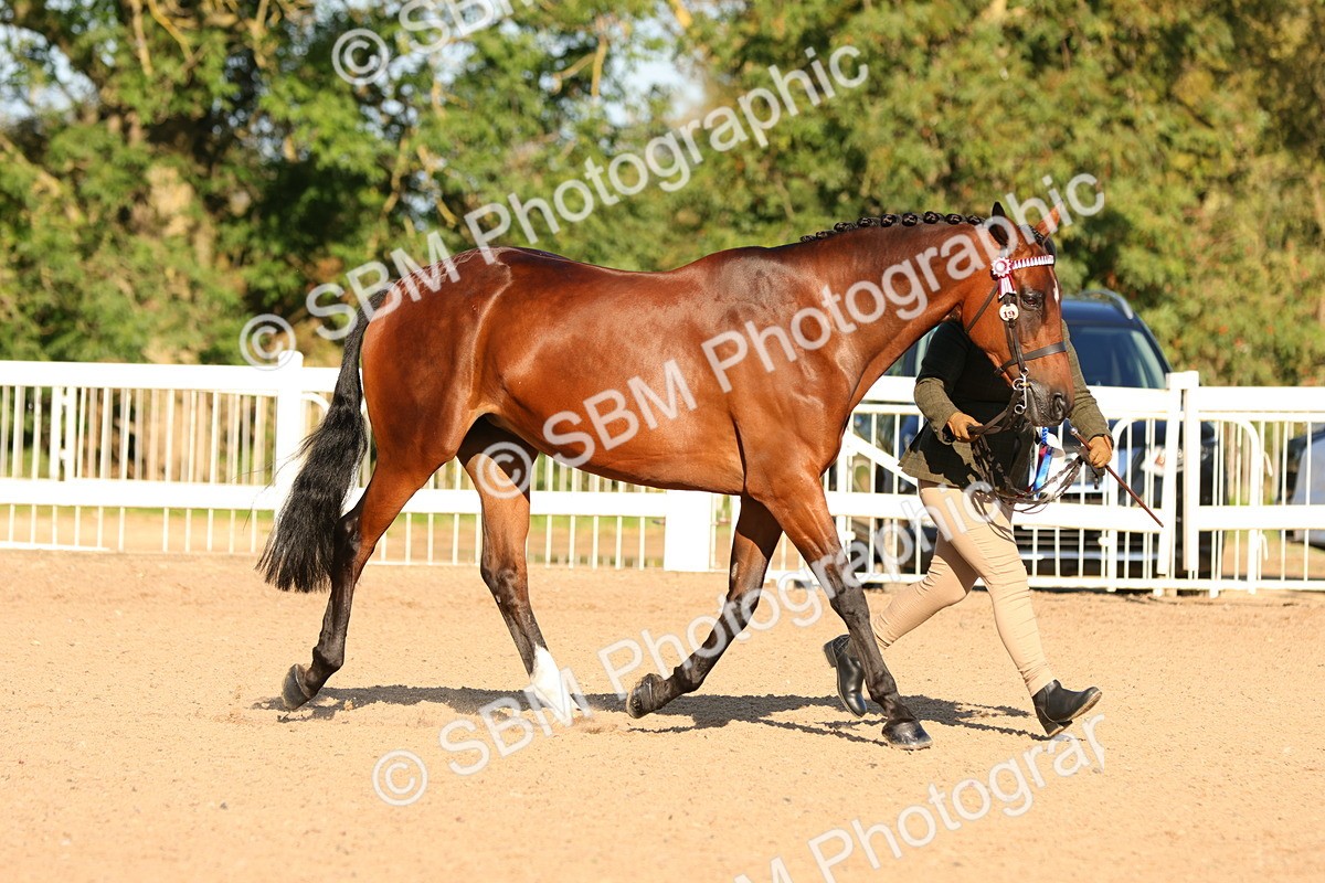 SBM_08100 - Class 201 - Best Turned Out - IH