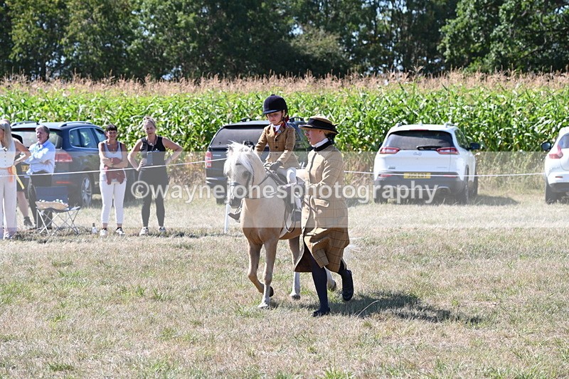 WJ6_8064 - Class 36 Lead Rein