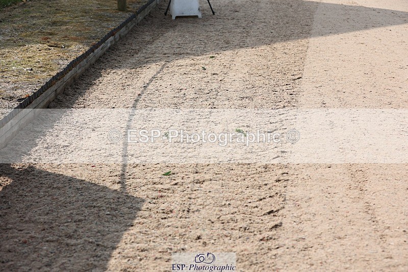 250424-103506-03113 - Cls 33 Young Horse 7yr old