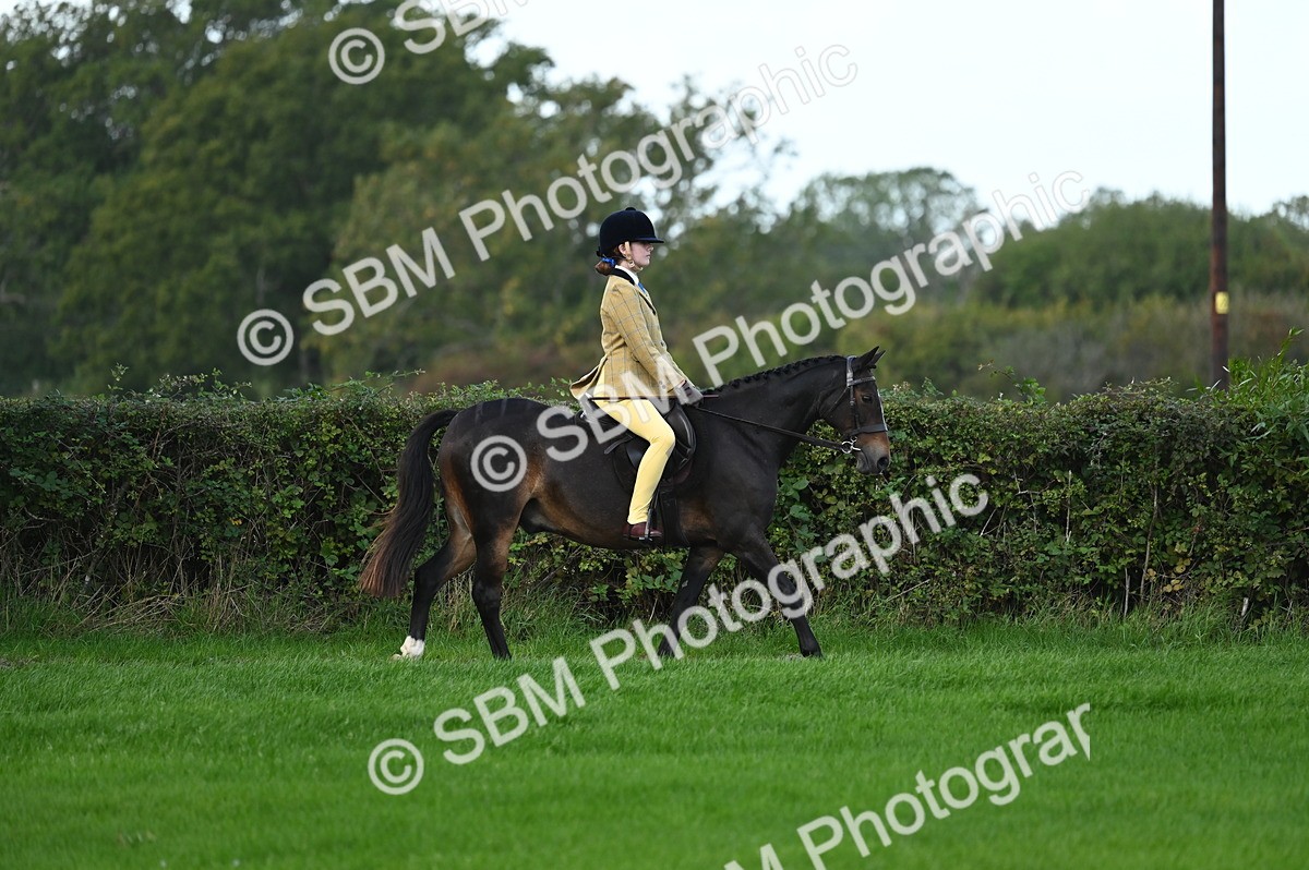 SBM_02533 - S3 - TSR Ridden Pony Showing