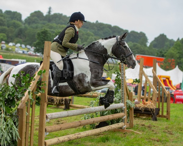Dunblane show-305 - Dunblane and Doune Show Ring 1