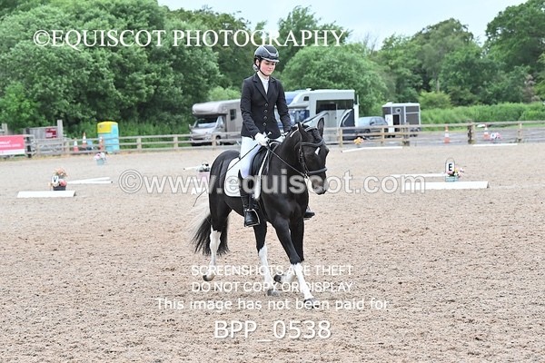BPP_0538 - 23 K MILLER