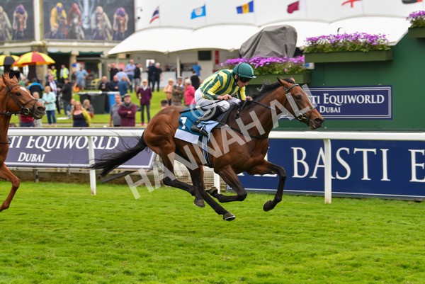 180523-Race 7-Chesspiece-9932 - Race 7 5.20pm Collective Green Energy Handicap