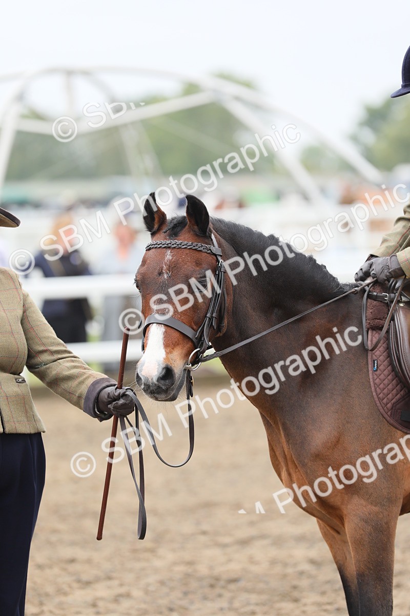 SBM_21836 - Class 806 - Young ridder 10 Yr & Under