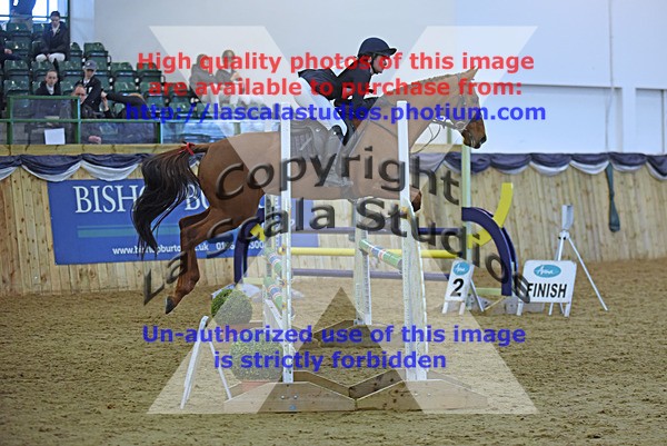 WS_0275 - Class 4a (Qualifier) & Class 4b (Open)  90cm
