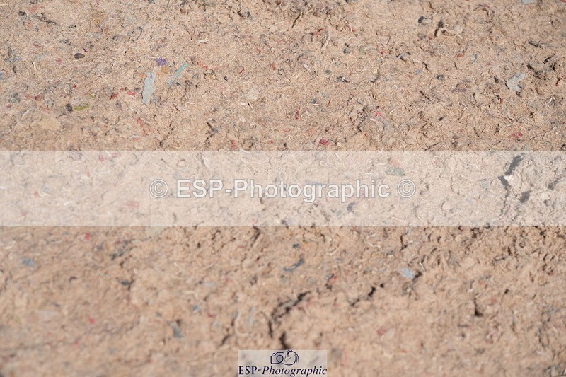 250712-105530-00748 - Cls 2 Small Pony Team