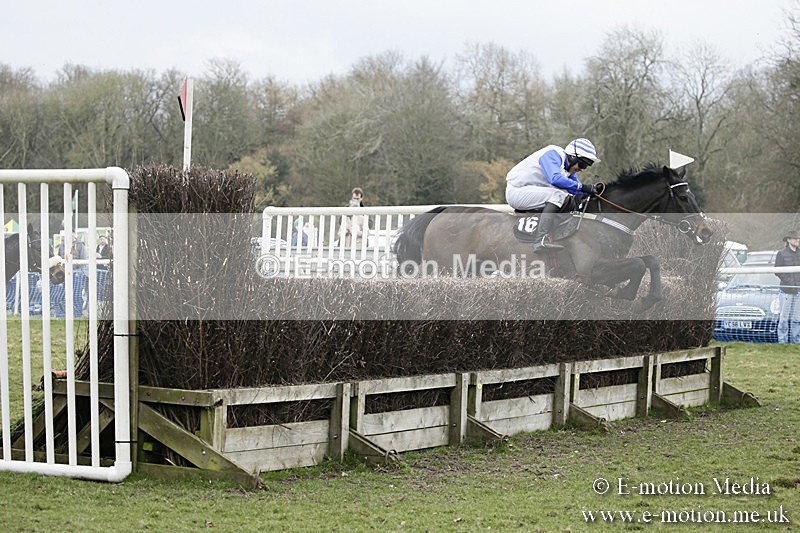 PtP 110318 478 - Hampshire Hunt Point-to-Point Hackwood Park 11/03/18
