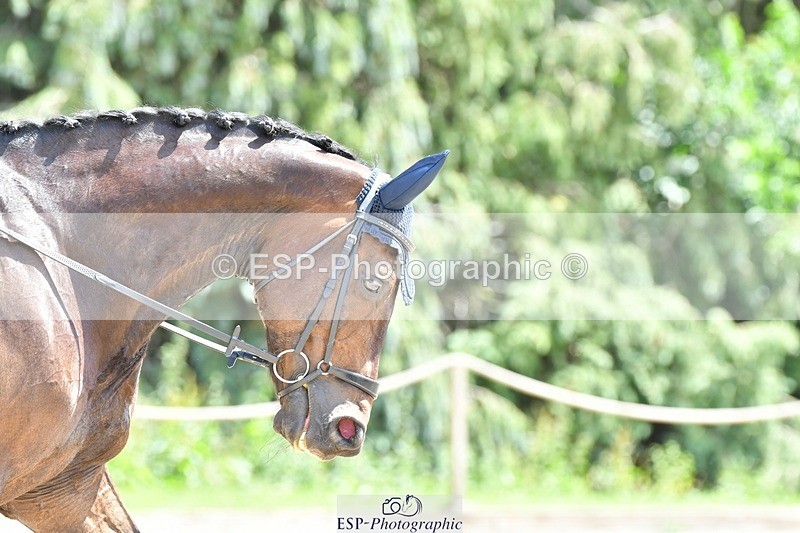 230623-135814-00876 - Cls 5 Elementary 43