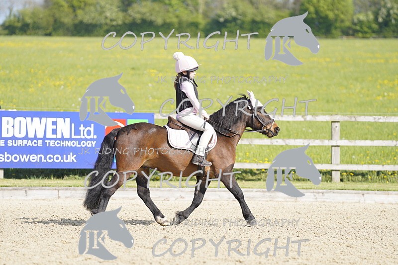 _DSC6659 - USJL Oakingham Stud 27.04.25