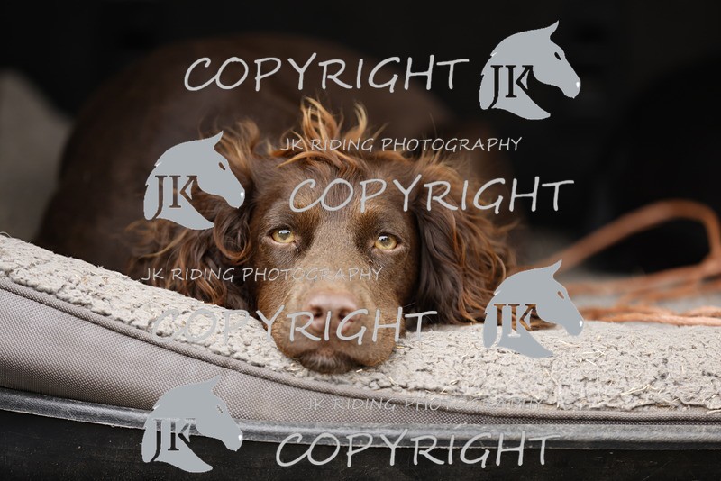 _R6A9526 - GENERAL PHOTOS