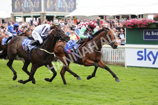 yr24072021r1-78 - Race 1 2.05pm Sky Bet Jump Jockeys Nunthorpe