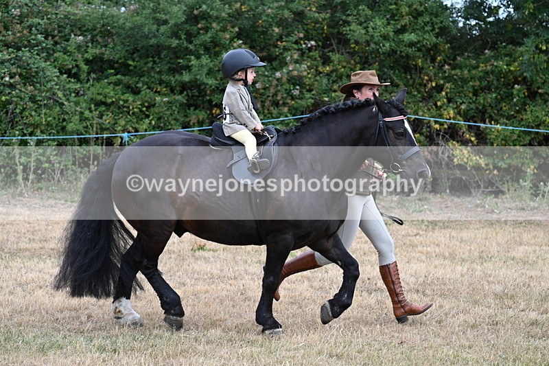 WJ7_9682 - Class 1 Lead Rein Pony
