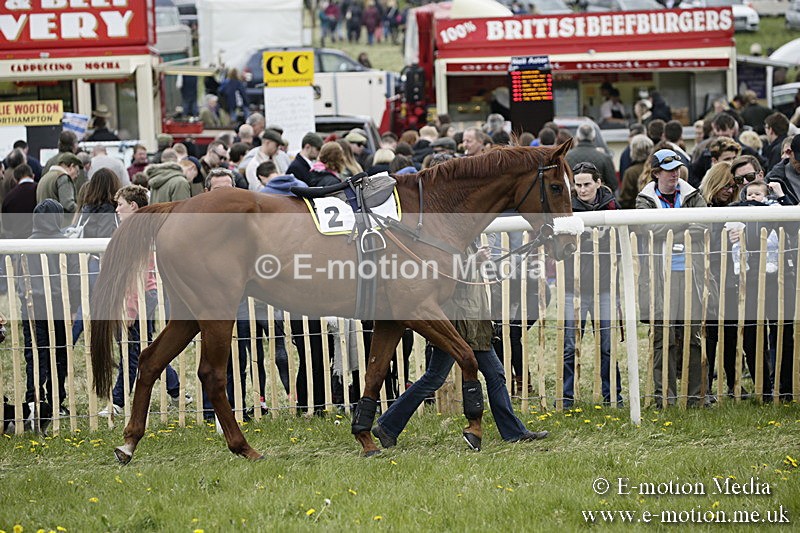 PtP 170417 470 - Old Berks Point-to-Point Lockinge 17/04/17