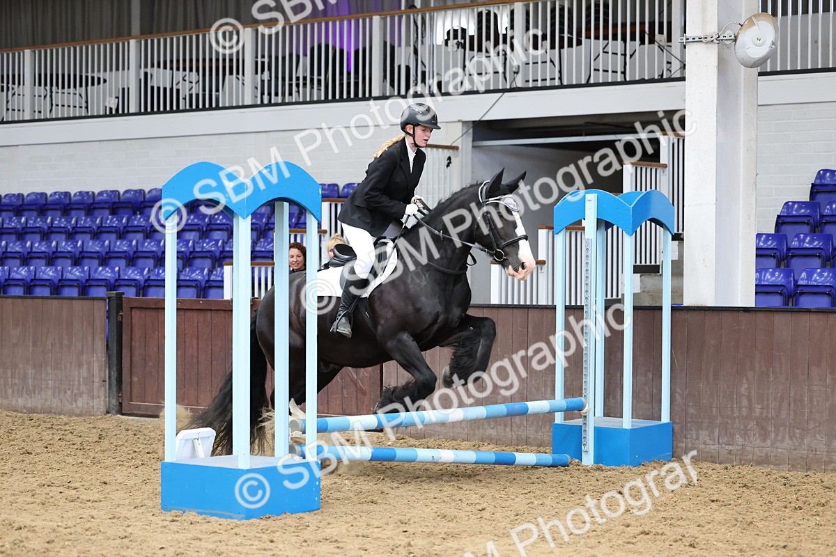 SBM_007673 - Class 3 - 60cm showjumping