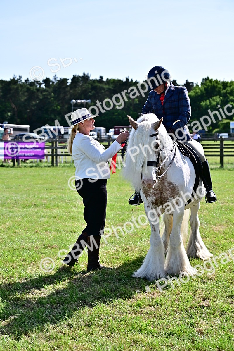 SBM_09415 - Class 63-65 - Traditional Gypsy Cobs In Hand & Ridden
