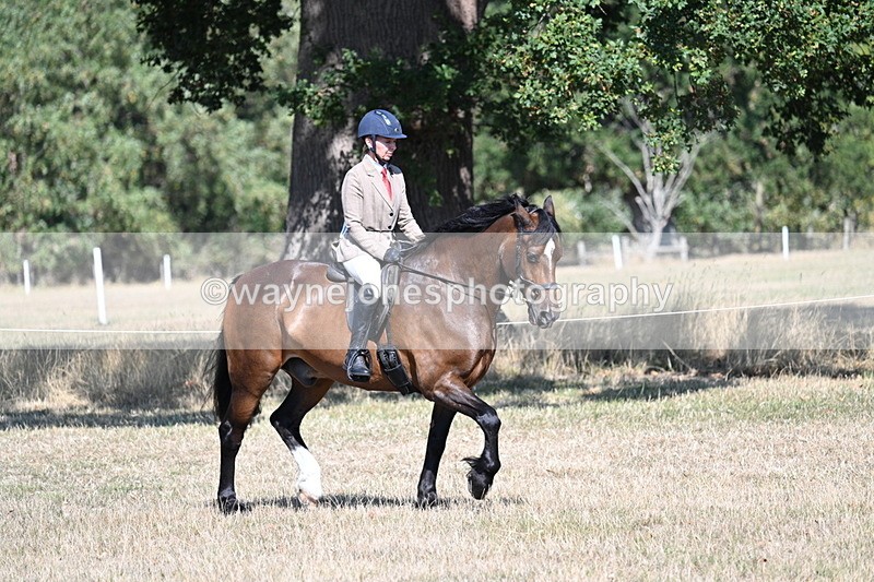 WJ7_3880 - Class 9 Mountain & Moorland Ridden