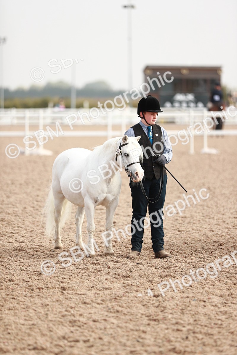 SBM_10532 - Class 204 Young Handler, 11-16 years
