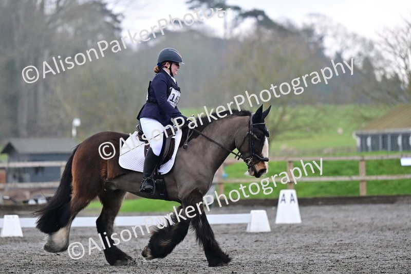 20260125-3800 - Class 12 - Novice