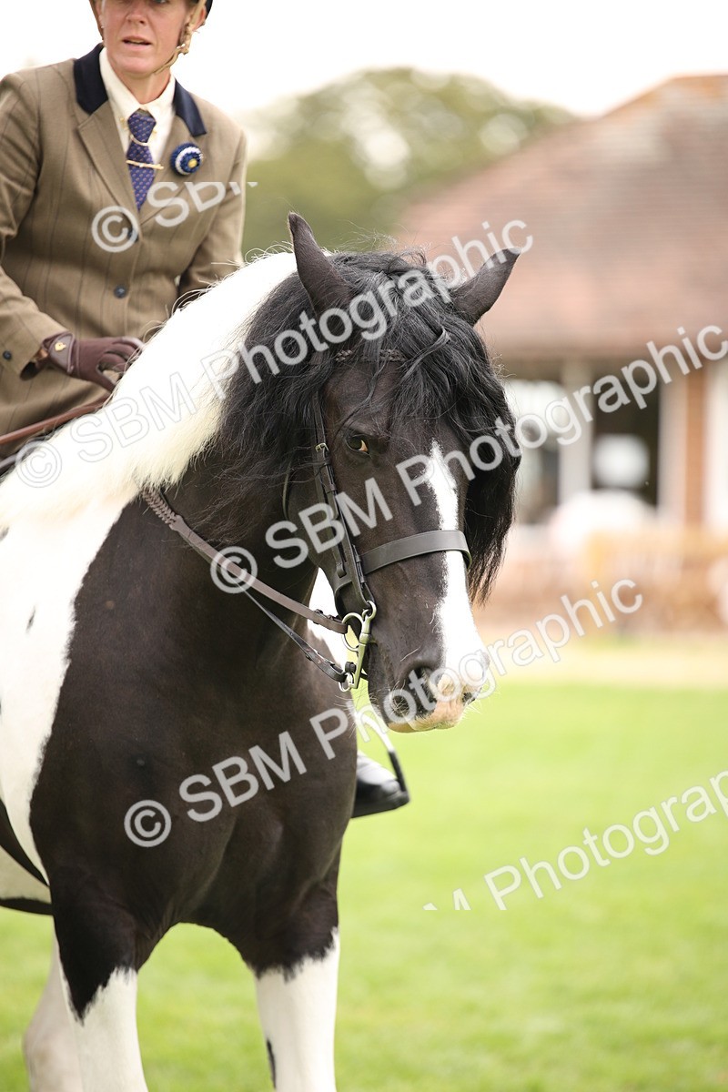 SBM_73525 - S68 - Traditional Cob Ridden