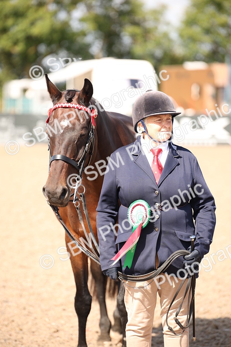 SBM_03076 - Class 17 Prettiest Mare IH or Ridden