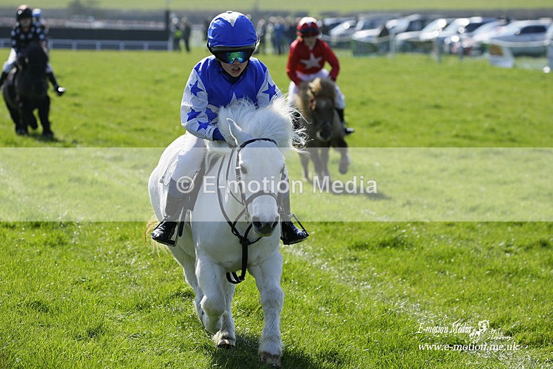 PtP 190322 24 - Wilton Hunt PtP Milborne St Andrew 19/03/22