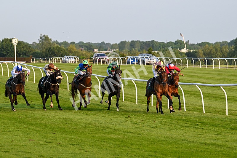 310524-Race 4-Albegone-8746 - Race 4