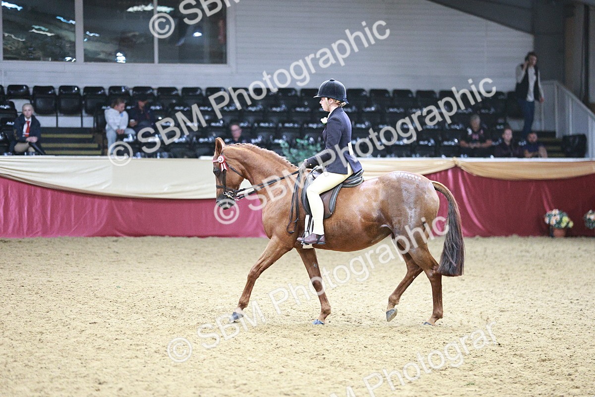 SBM_03460 - Class 6A Area Ridden Pre-Vet