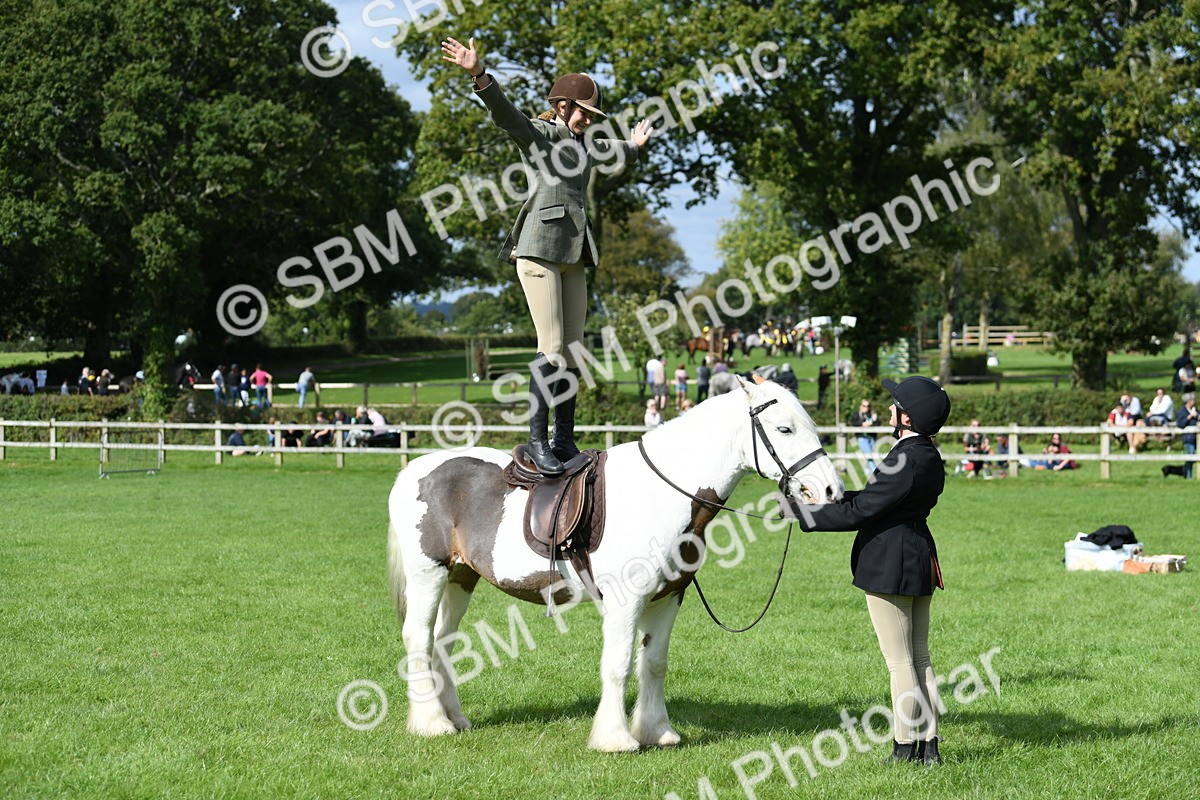SBM_47034 - S12 - Family Horse & Pony