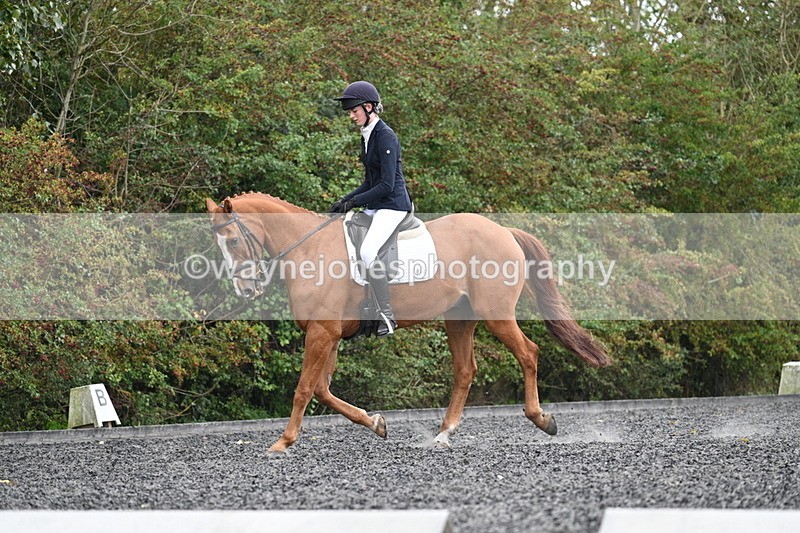 WJ7_6723 - Time 14:49 to 15:14