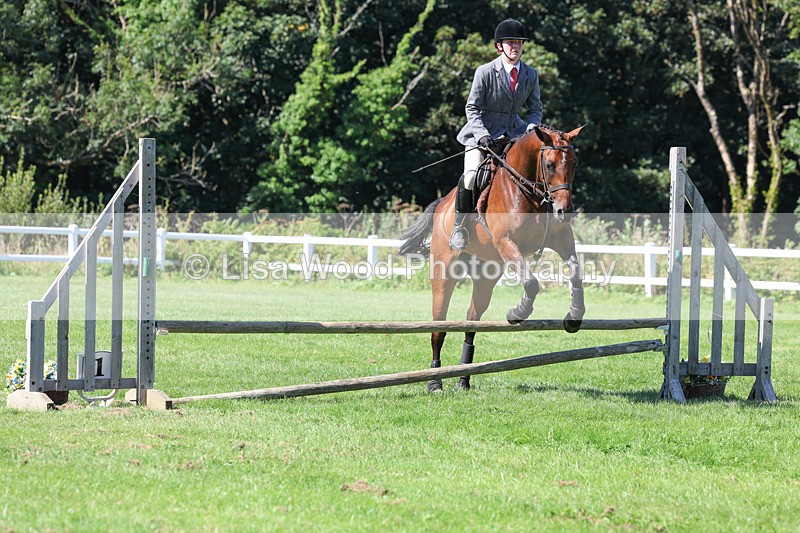 3E7A8293 - Class 4: Novice working Hunter